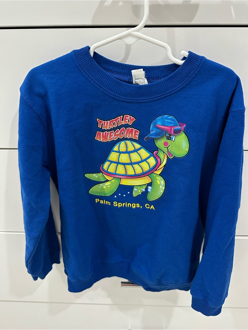 Kids Turtle sweatshirt Size 5/6